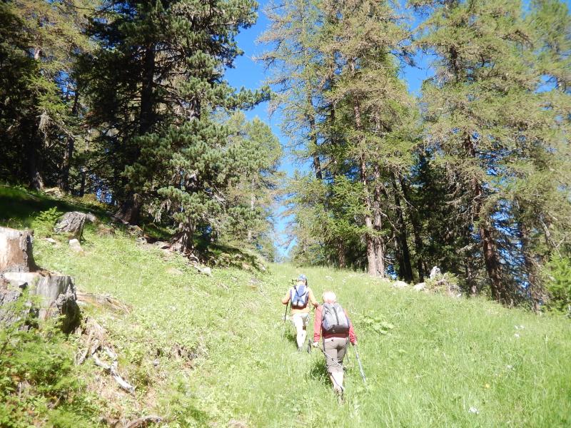 Montée à la Crête du Lauzet
