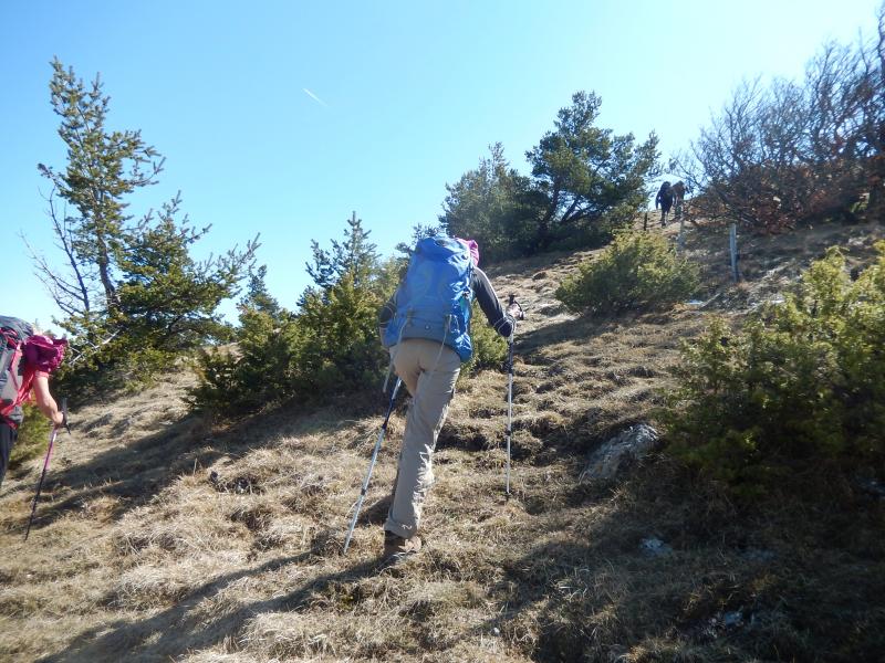 Montée à la Pignée
