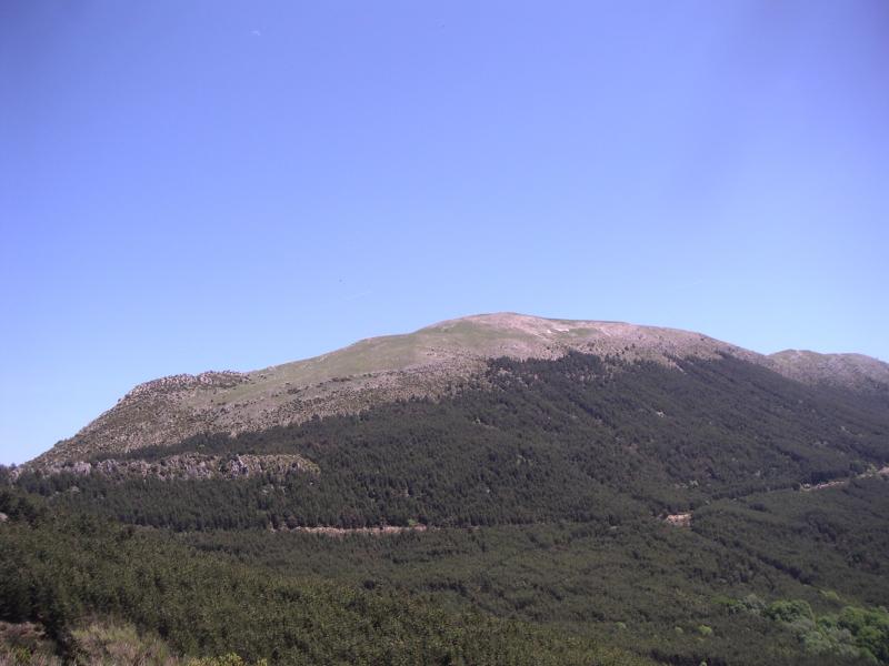 Montdenier