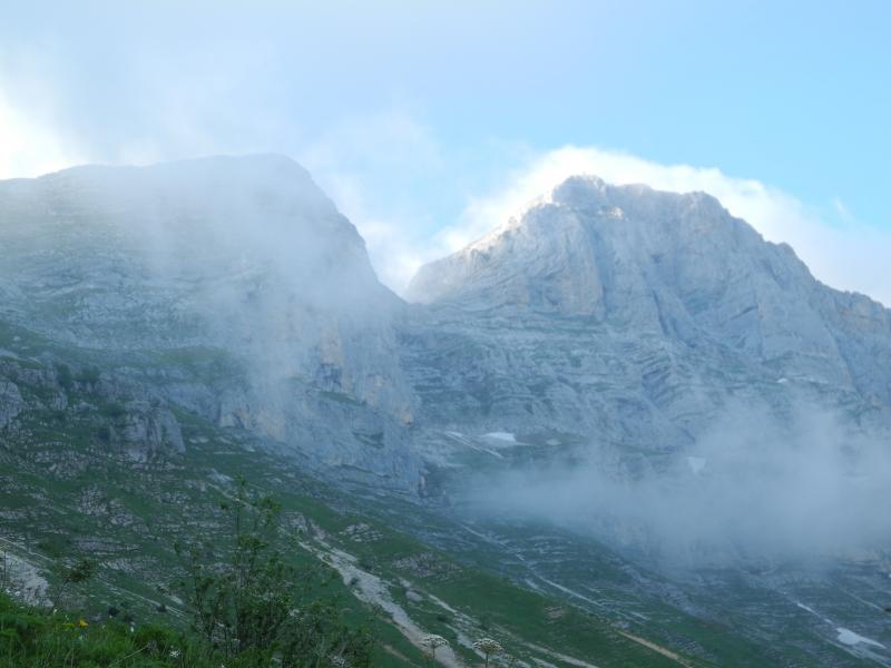 Moucherolles au crépuscule