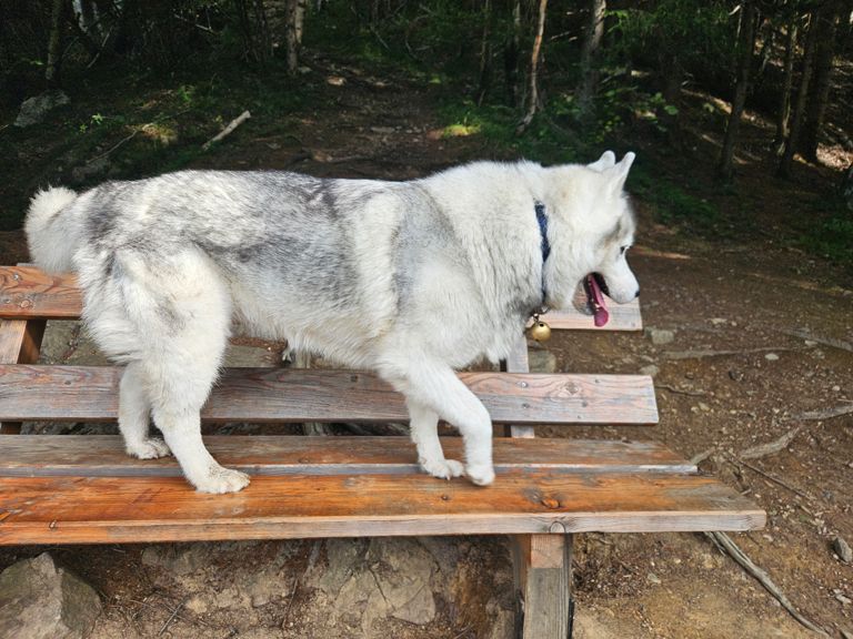 RUN 26: Tour de la falaise des Gaillands