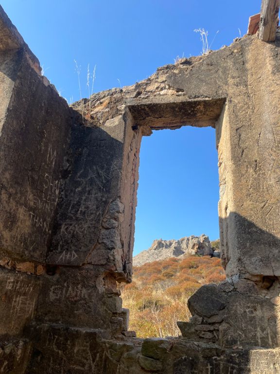 Dans l’mûres 😋