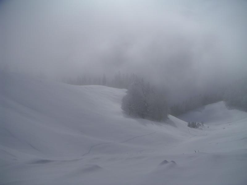 ma trace dans la prairie du col