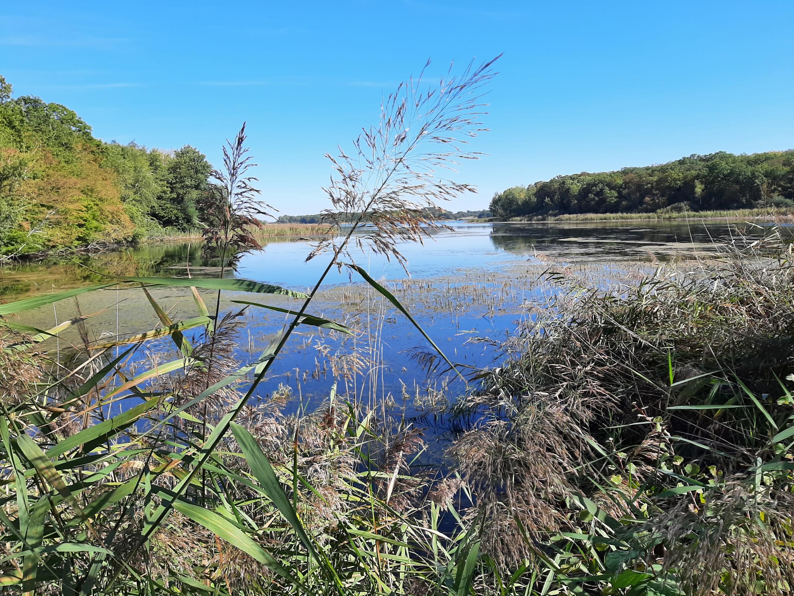 Madine sept 2023 (31)