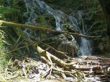 Magnifique sortie VTT avec des passages bien "sangliers"🤪