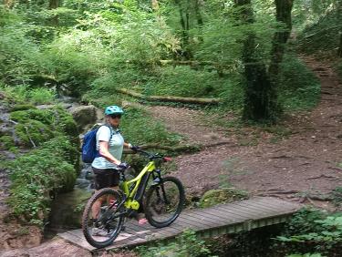 Magnifique sortie VTT avec des passages bien "sangliers"🤪