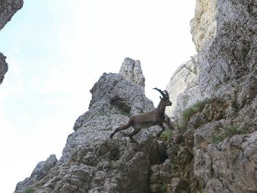 MAI_20180624_11161893