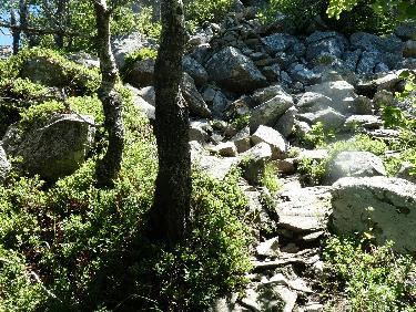 ... mais monter Ã  gauche sur le fil !