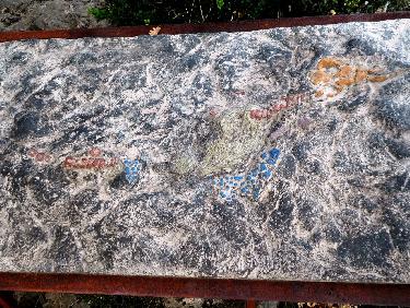 maquette complÃ¨te du squelette fossilisÃ©