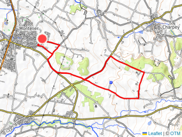 Marche Athlétique avec Gilles