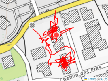 Marche dans l&apos;après-midi