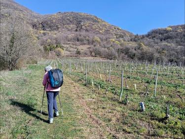 La marmite de Vulcain 