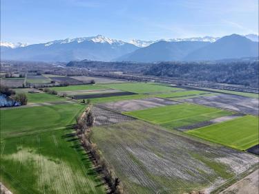 La marmite de Vulcain 