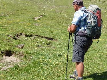 Marmotte au Grand Vallon