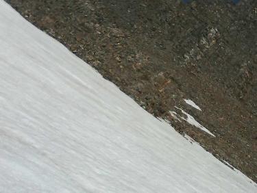 mÃªme nÃ©vÃ© , au fond le col