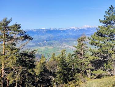 Mental et performance