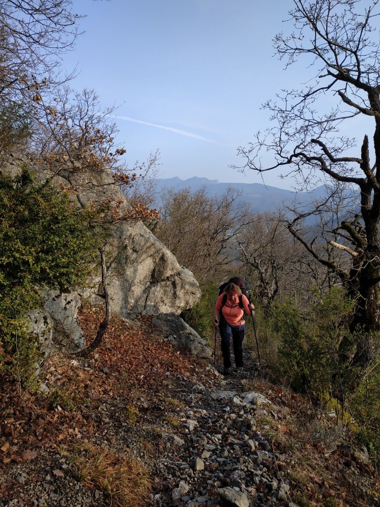 Merci Bivouak