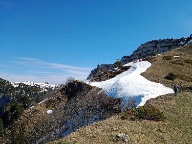 Merveilles de proximité !