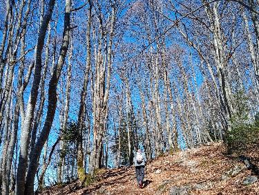 Merveilles de proximité !