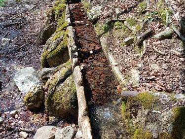 Merveilles de proximité !