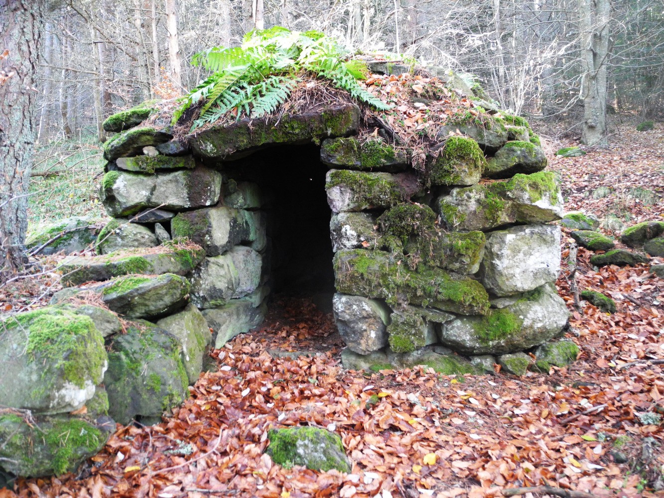 mini refuge