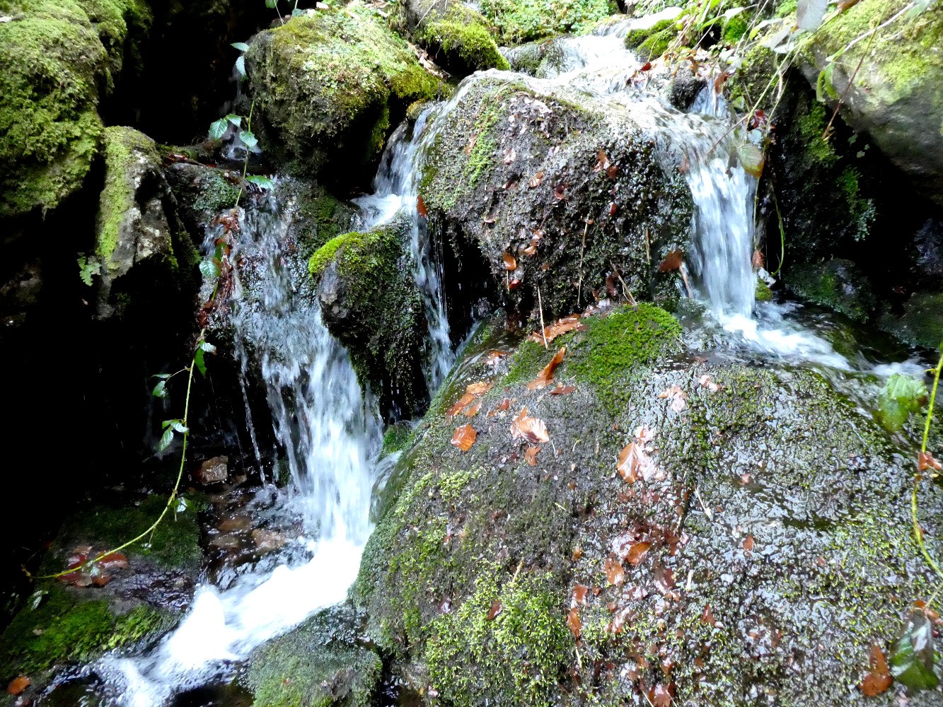 Mon mini Saut du Gier