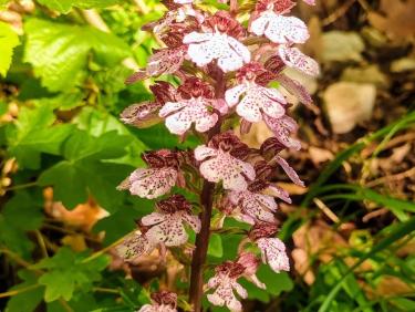 Du monde à Saint Hilaire.