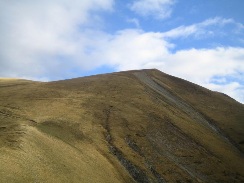 mondéco dans la zone verte