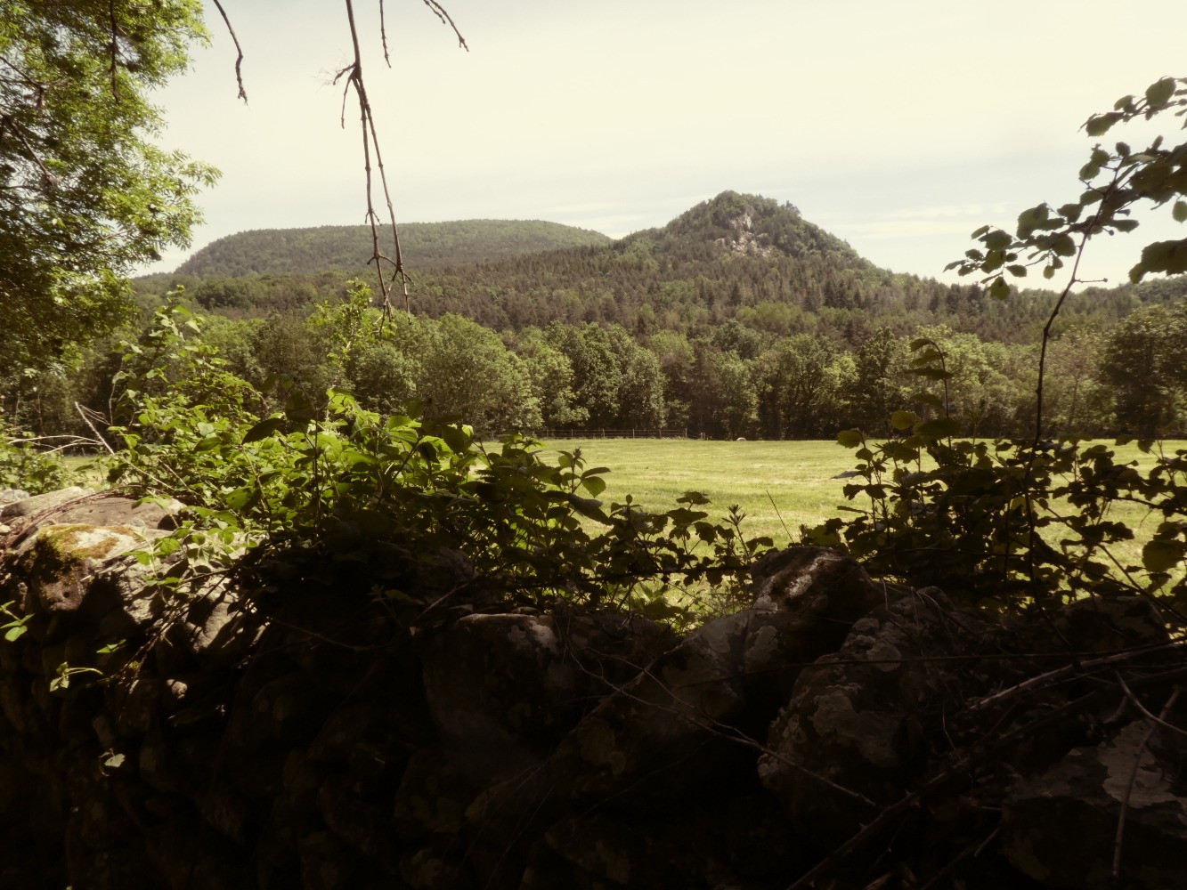 Mont Miaune (au fond)