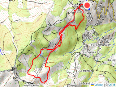 mont d Arbois depuis bettex 