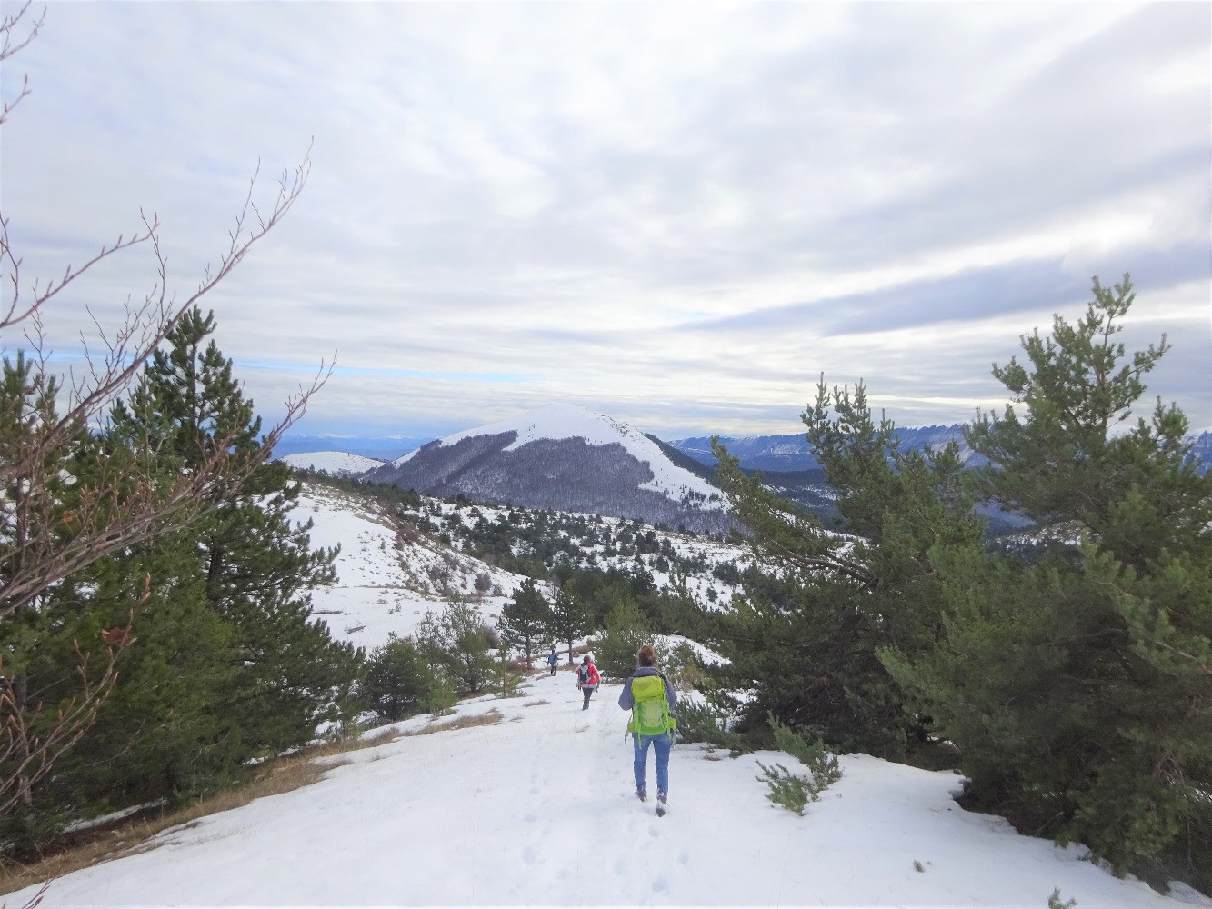Montagne de Chanteduc, descente vers le col de Branche
