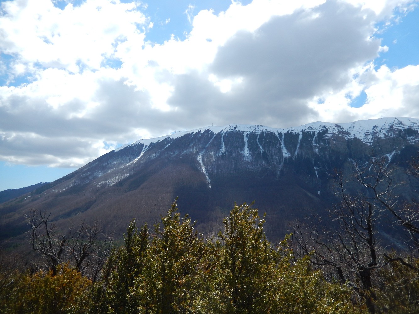 Montagne de Lure