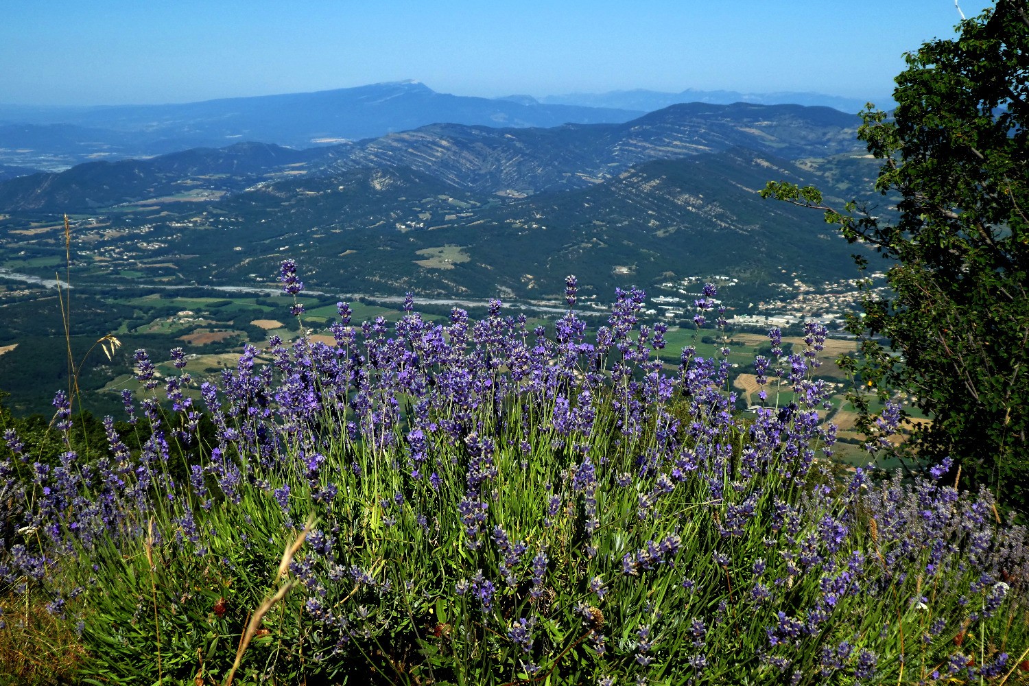 Montagne de Lure