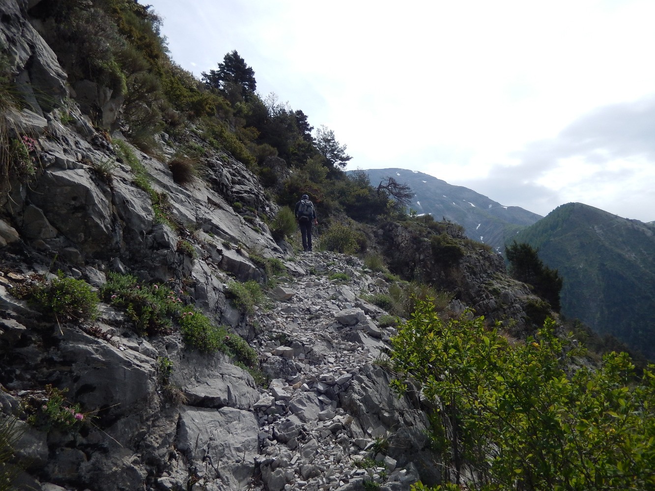 Montagne du Carton