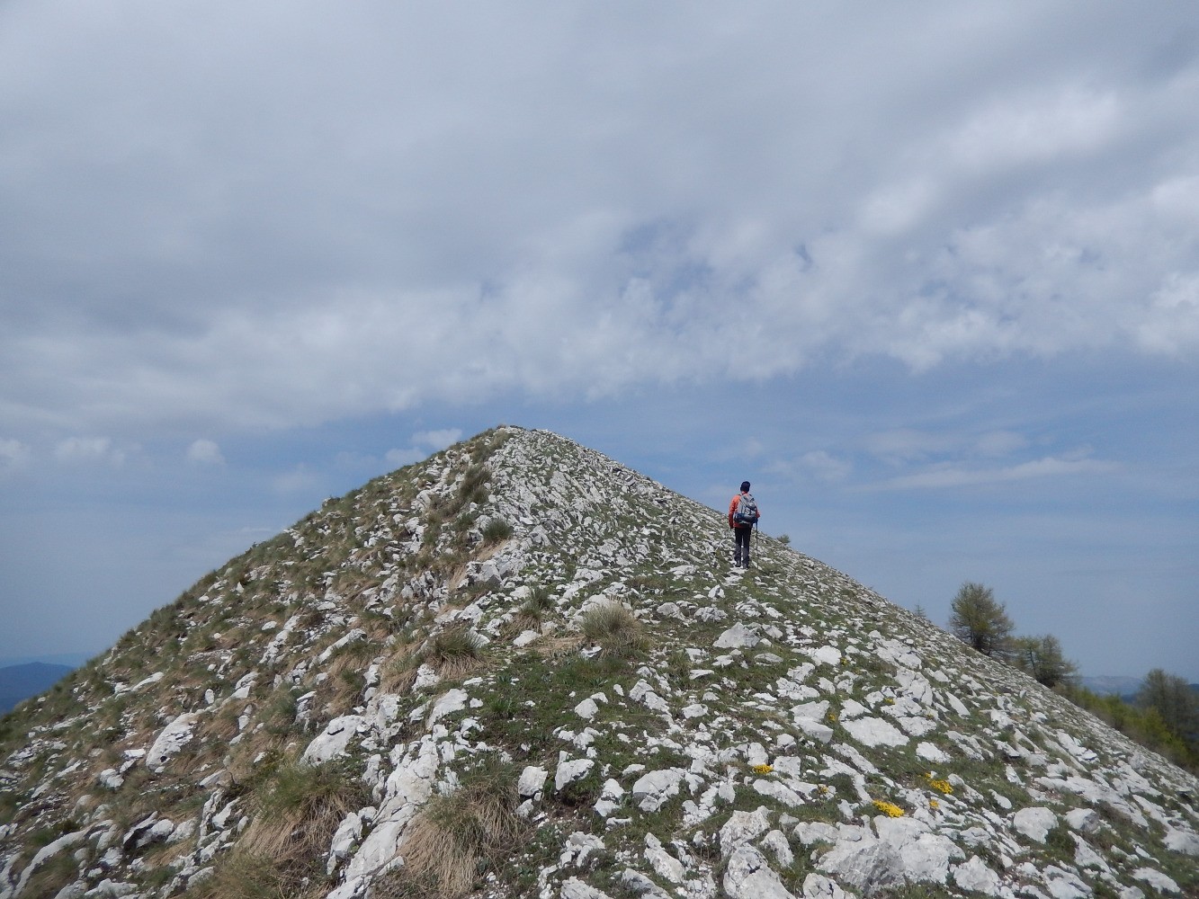 Montagne du Carton