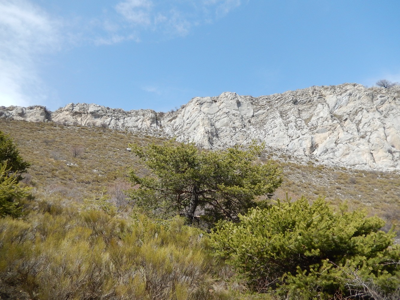Montagne du Pied du Mulet