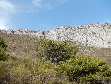 Montagne du Pied du Mulet