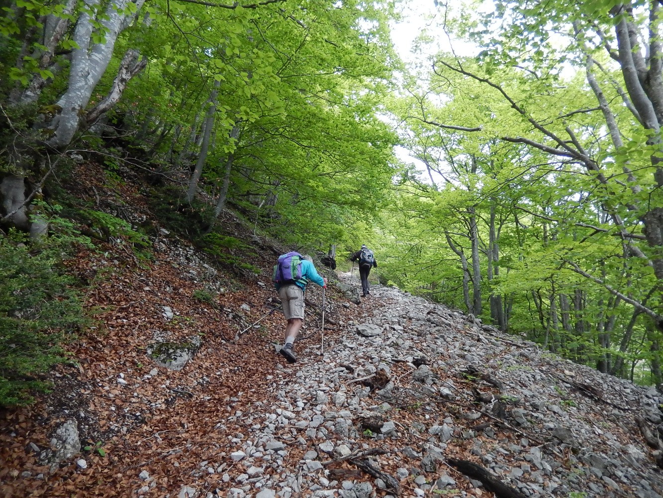 MontÃ©e au col de VauniÃ¨re