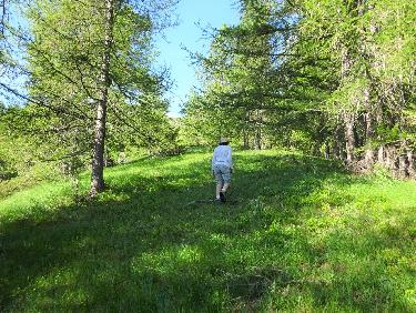 MontÃ©e en direction de l'alpage de l'Ubac vers 1850m