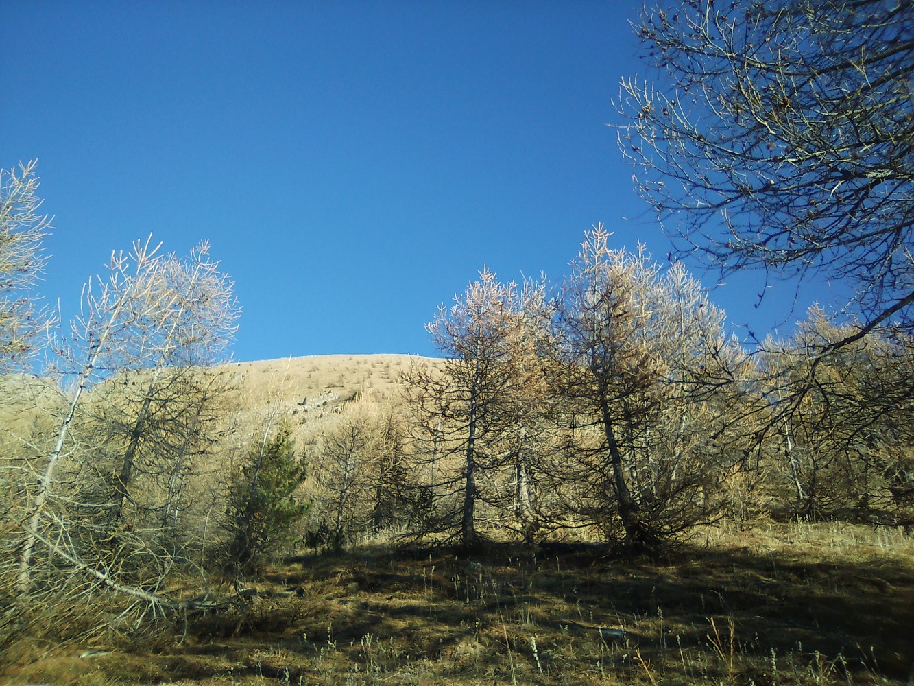 montÃ©e raide - voir l'oblique visuelle des arbres