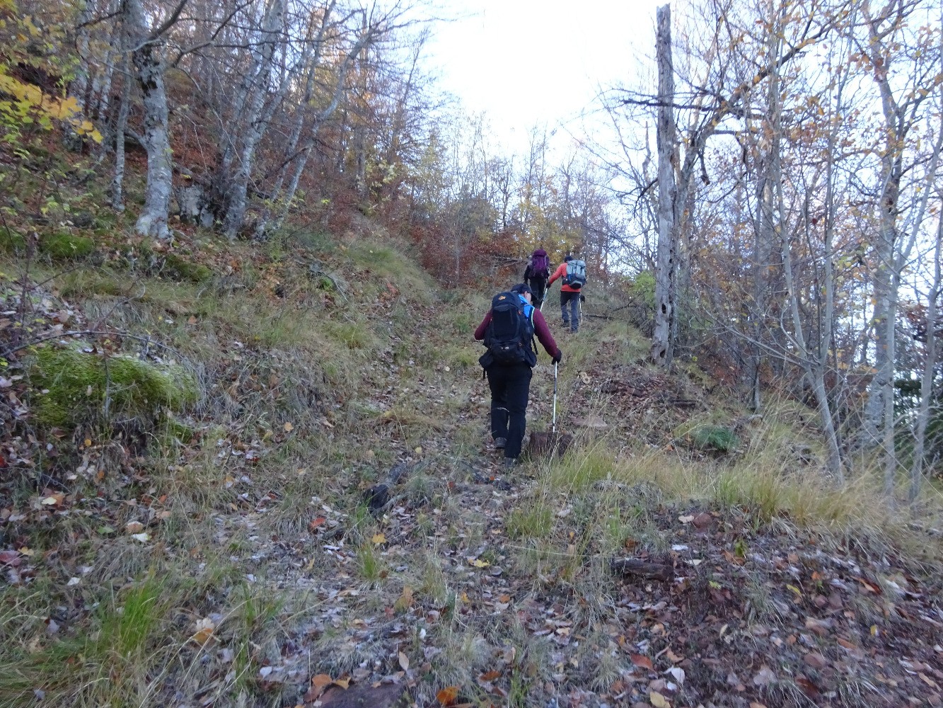 MontÃ©e vers le Collet Rouge