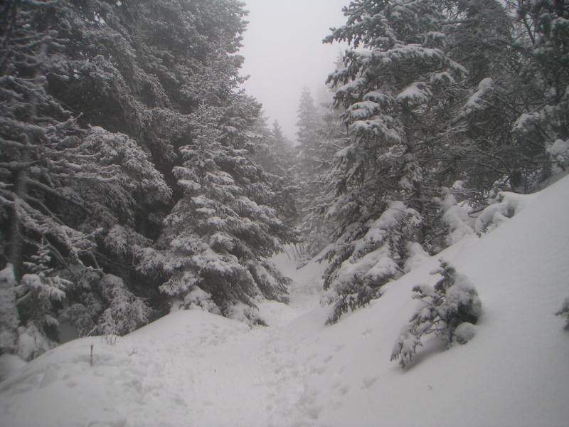 montée