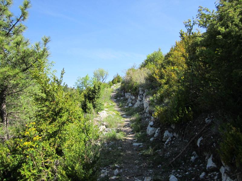montée