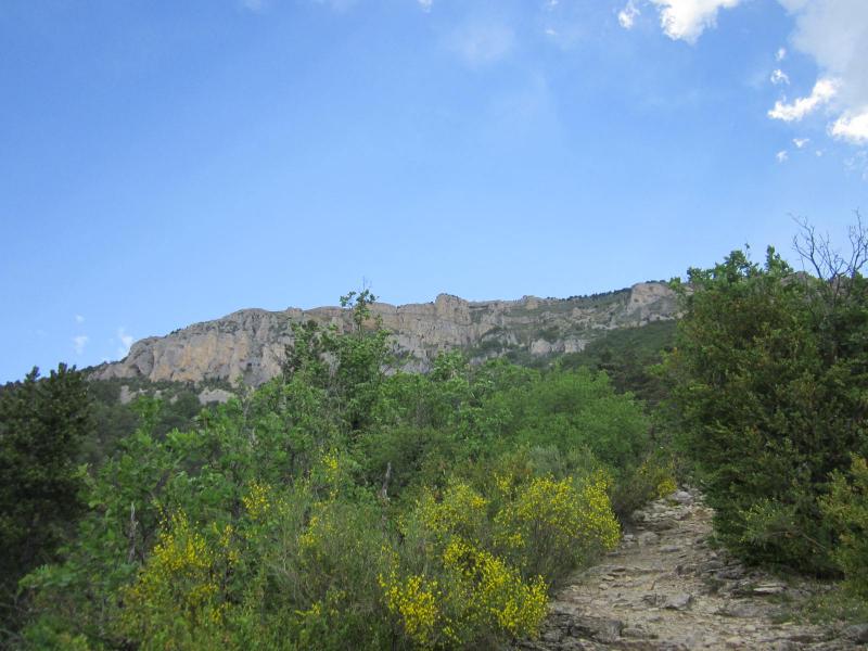 montée