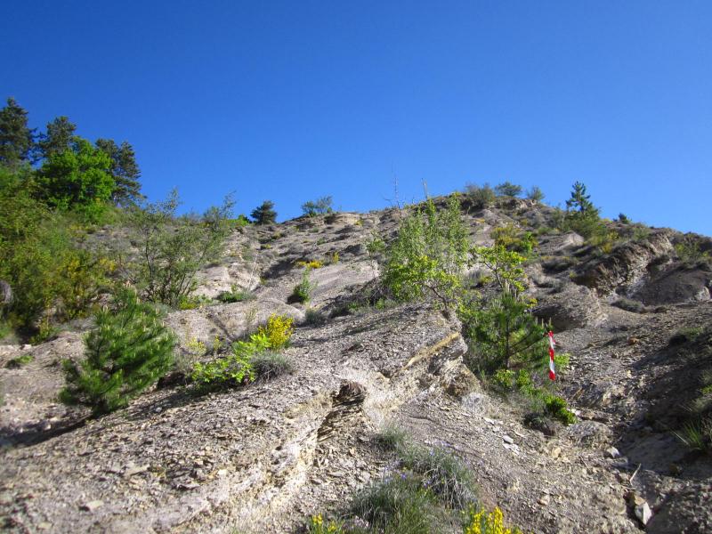 montée
