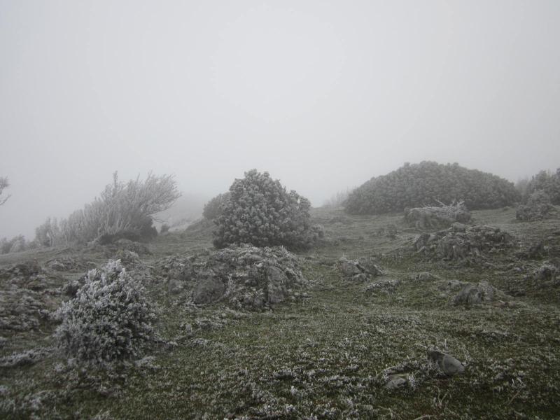 montée à Pierre Chauve