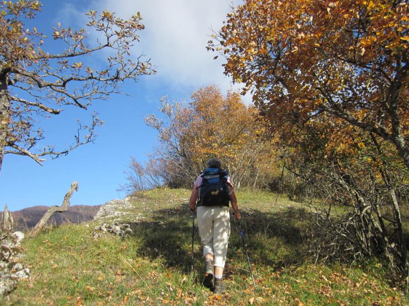 montée à l'Ouillon