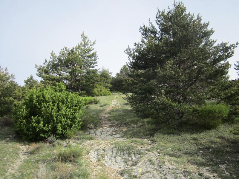 montée au Serre Suquet