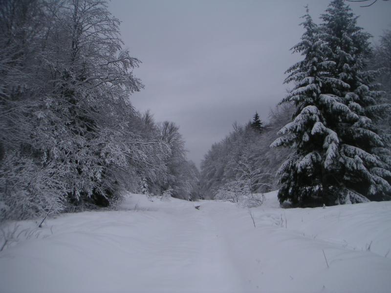 montée au col du Mollard