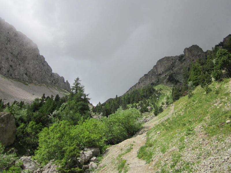 montée des Bachassons